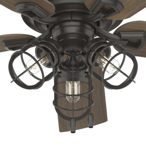 ceiling fan