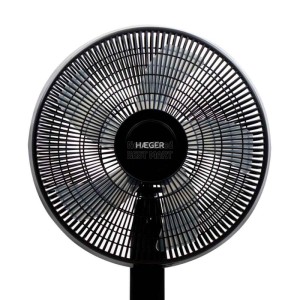 Standing Fan