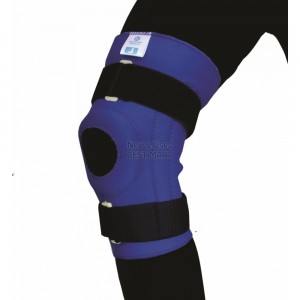 Knee Support With Four Spring