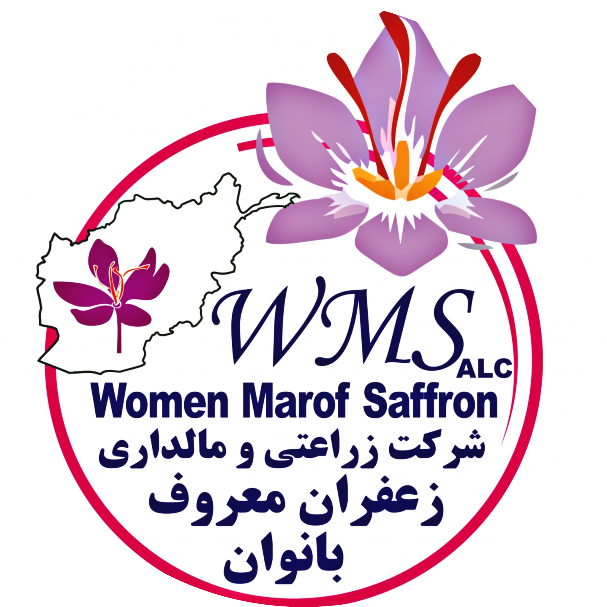 Women Marof Saffran Company
