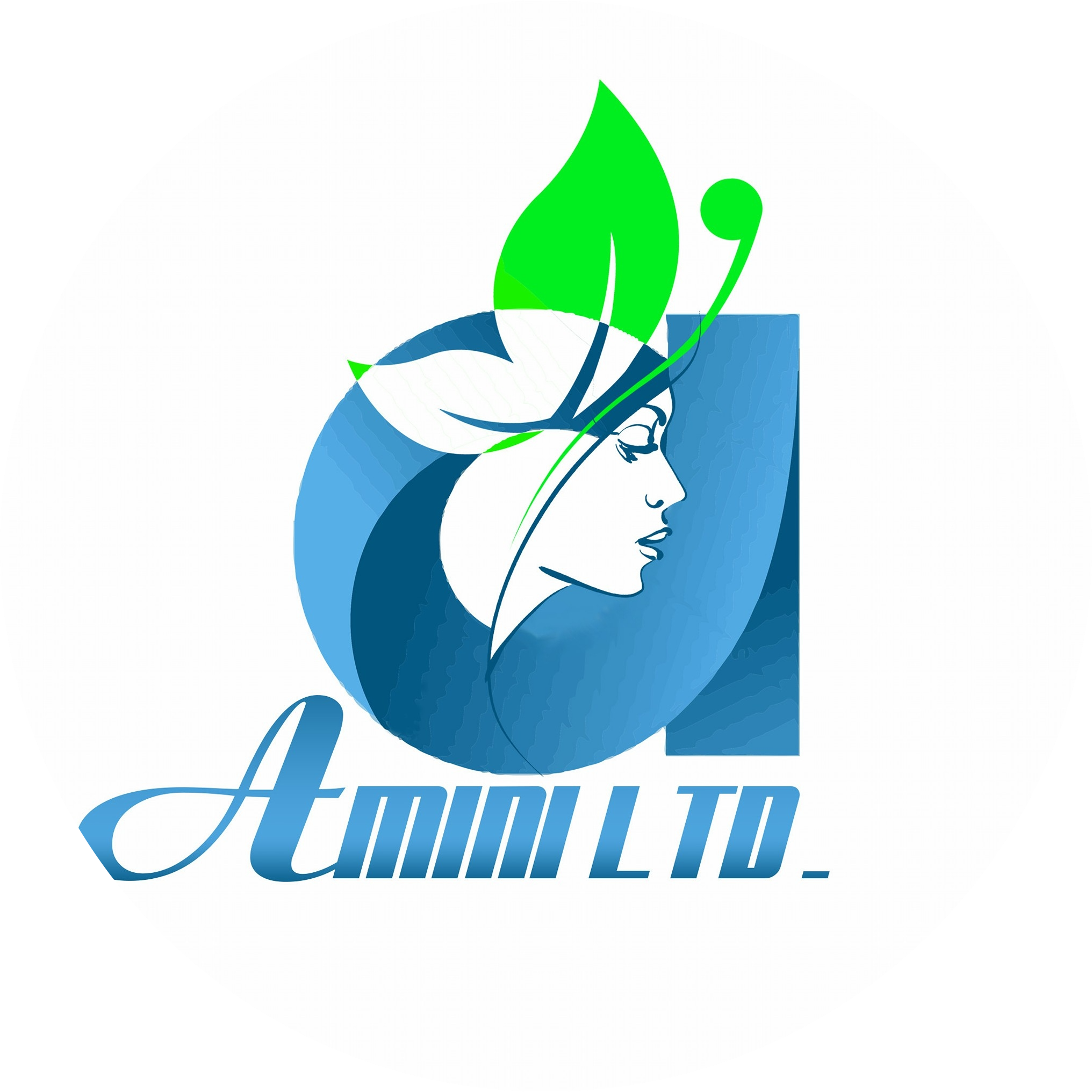 Amini Trading Company Ltd