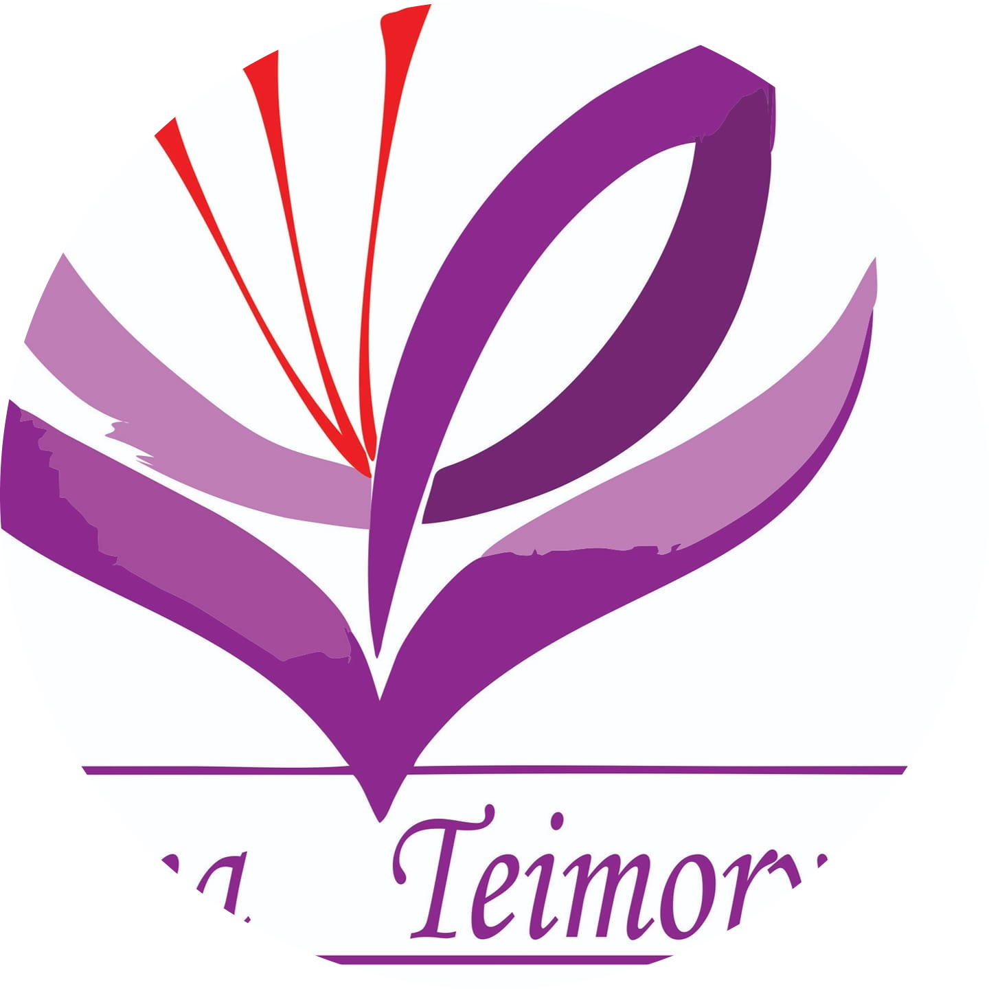 Sana teimory saffaron production processing and packaginglimited company