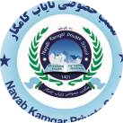 Nayab kamgar private school